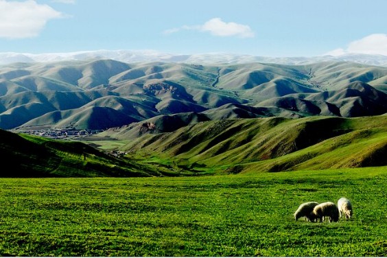 8D INNER MONGOLIA