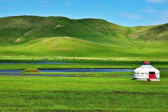 10D HULUNBUIR+MOHE FANTASY