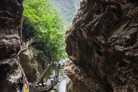 8D HUBEI MT.WUDANG SHENNONGJIA