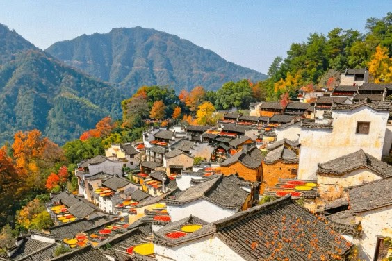 8D JIANGBEI GOURMET+ JIANGXI WUYUAN