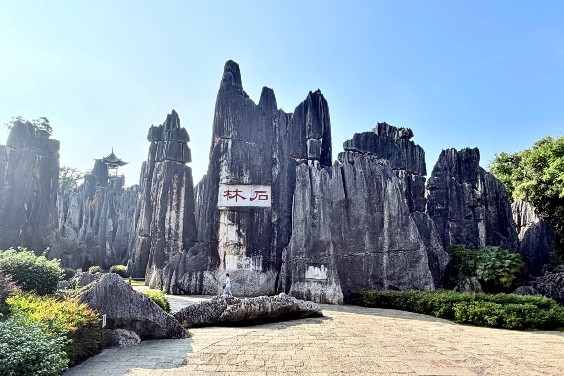 10D  KUNMING SHILIN LIJIANG SHANGRILA