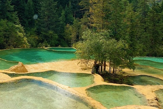 9D JIUZHAIGOU MT E-MEI(BY COACH)