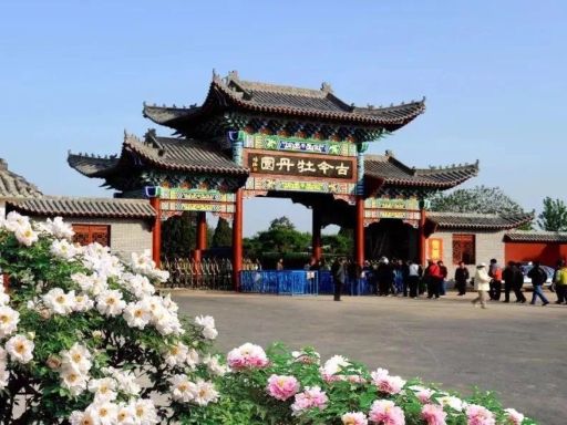 牡丹园