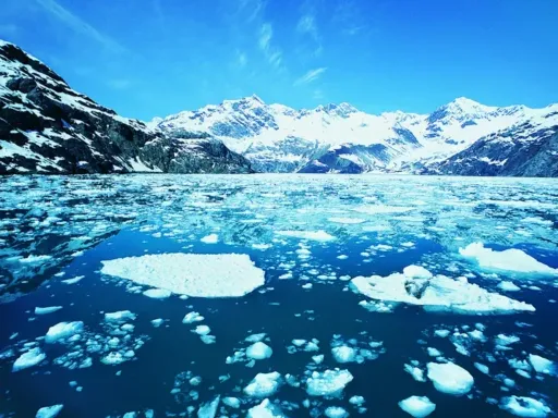 Glacier Bay 