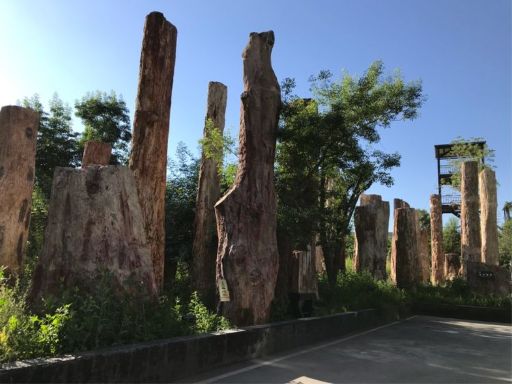 野马古生态园