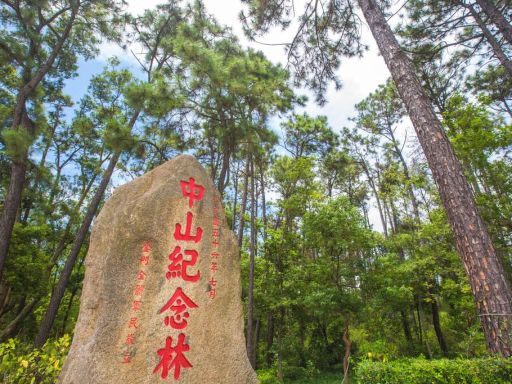 中山林