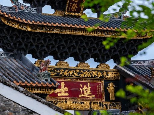 流放岭南！顺德逢简水乡一日游_1_KayCN_来自小红书网页版