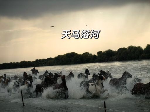 天马浴河