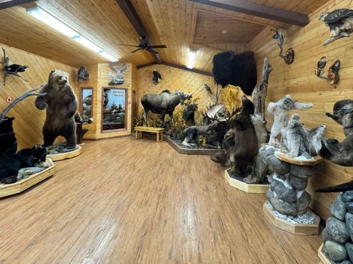 Wildlife Nature Gallery