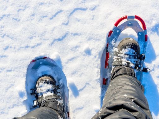 Snowshoe Walking
