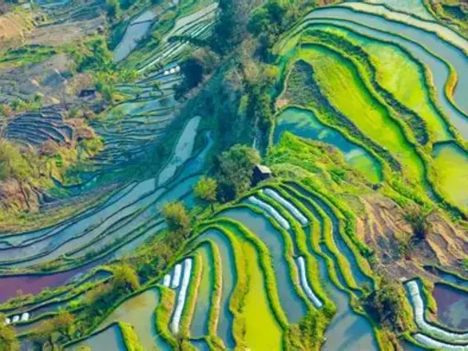 8D7N XISHUANGBANNA & YUANYANG, YUNNAN